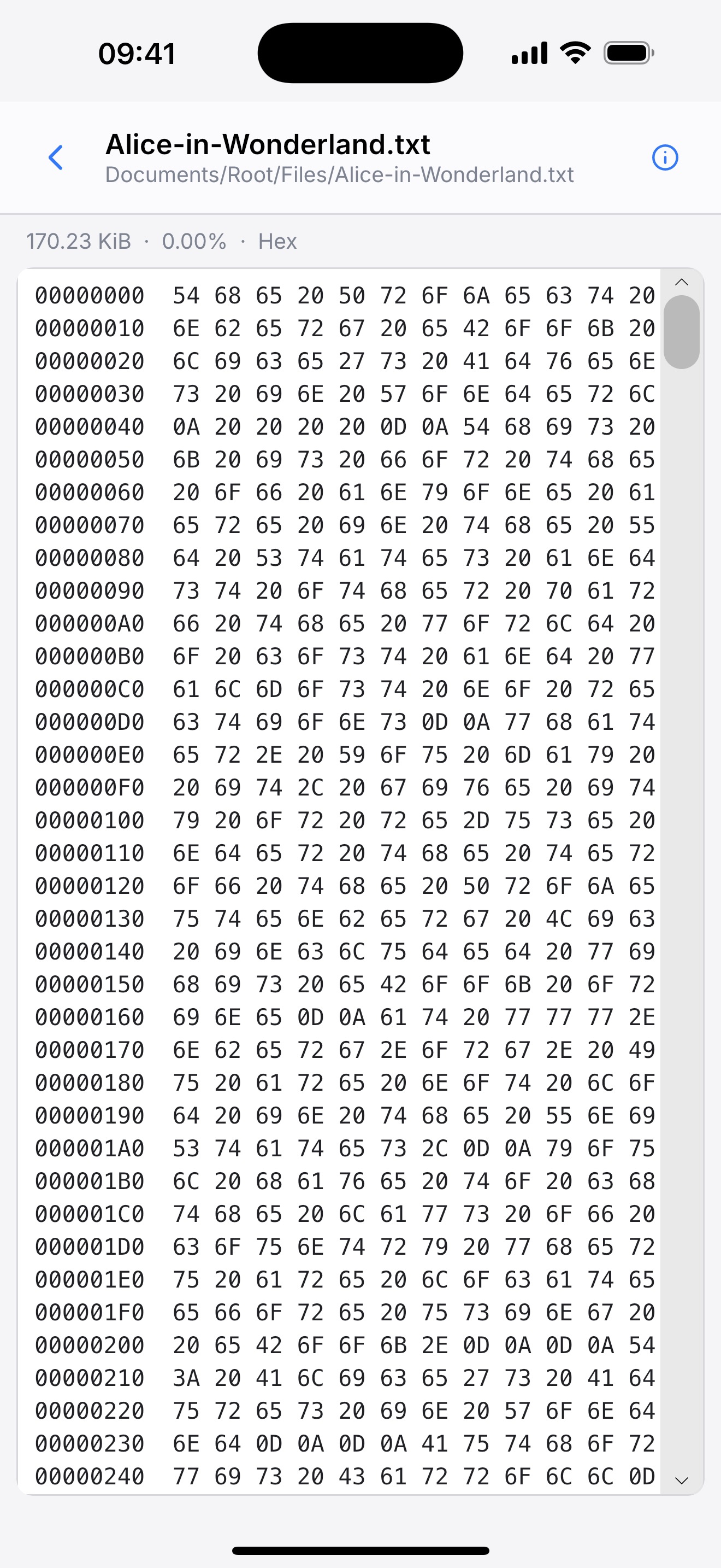 iOS Hex 查看